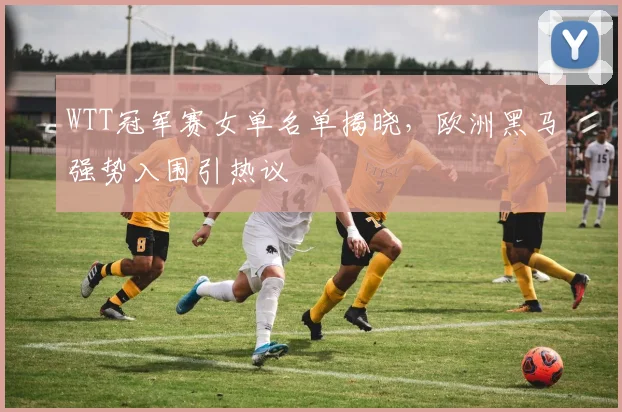 WTT冠军赛女单名单揭晓，欧洲黑马强势入围引热议