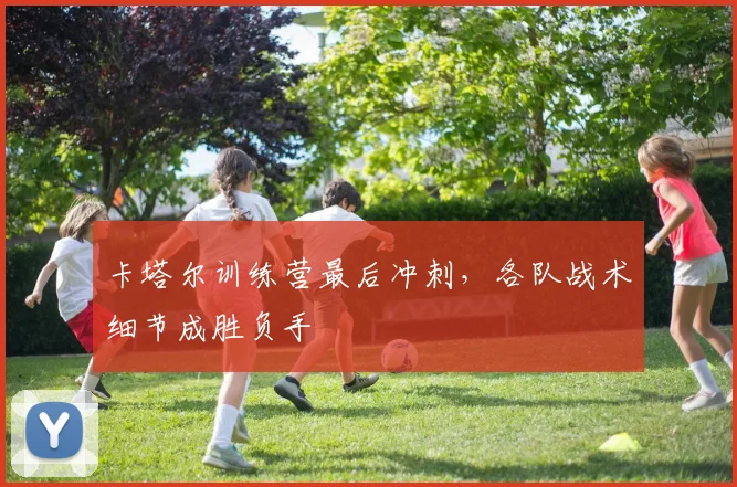 卡塔尔训练营最后冲刺，各队战术细节成胜负手