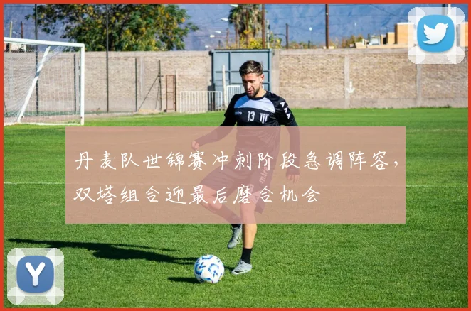 丹麦队世锦赛冲刺阶段急调阵容，双塔组合迎最后磨合机会