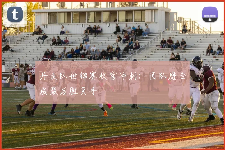 丹麦队世锦赛收官冲刺：团队磨合成最后胜负手