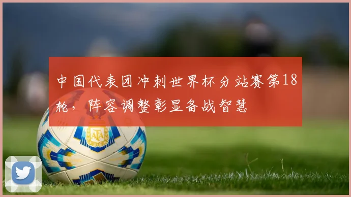中国代表团冲刺世界杯分站赛第18轮，阵容调整彰显备战智慧